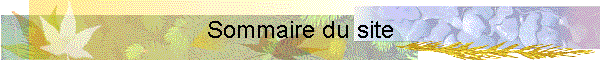 Sommaire du site