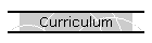 Curriculum