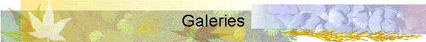 Galeries
